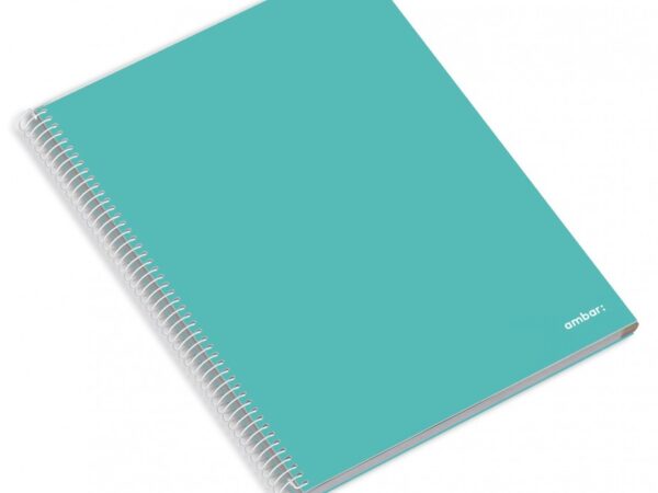 Caderno Espiral A4 Disciplinas Ambar School - Image 6