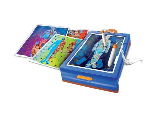 ENCICLOPÉDIA CORPO HUMANO E DESPORTO - Image 3