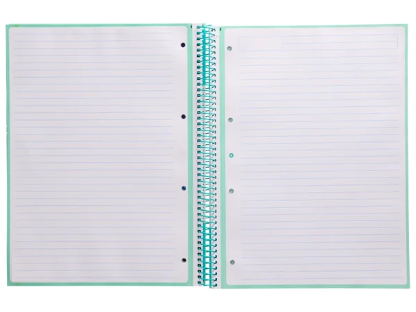 Caderno espiral liderpapel din a4 antartik capa forrada 80f 90 gr pautado 1 banda 4 furos cor menta. - Image 3