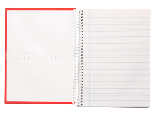 CADERNO ESPIRAL LIDERPAPEL DIN A4 CRAFTY CAPA FORRADA 80F 90 GR PAUTADO 7MM DUPLA MARGEM CORES SORTIDAS - Image 3