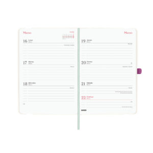 Agenda Capri 16 Meses 2025 2026 - Image 3