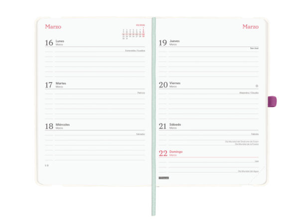 Agenda Capri 16 Meses 2025 2026 - Image 3