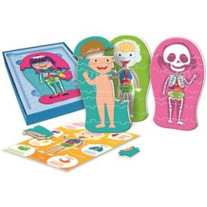 Jogo O Corpo Humano - Image 3