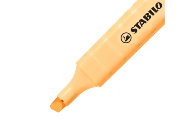 Blister de 6 Marcadores STABILO Swing Cool Nature Colors