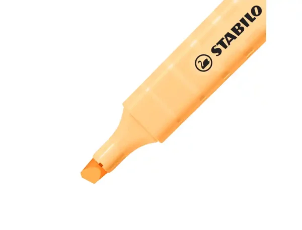 Blister de 6 Marcadores STABILO Swing Cool Nature Colors